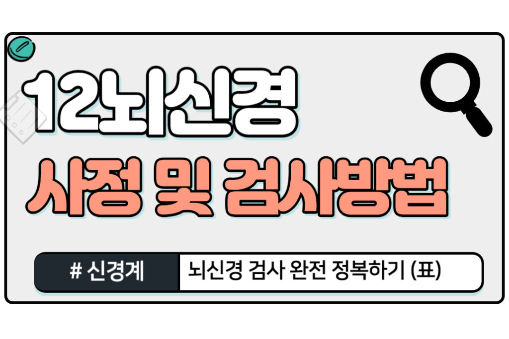 뇌신경검사